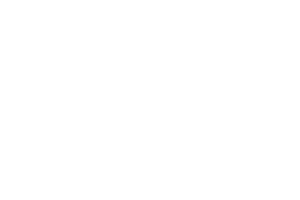 Georg Jensen